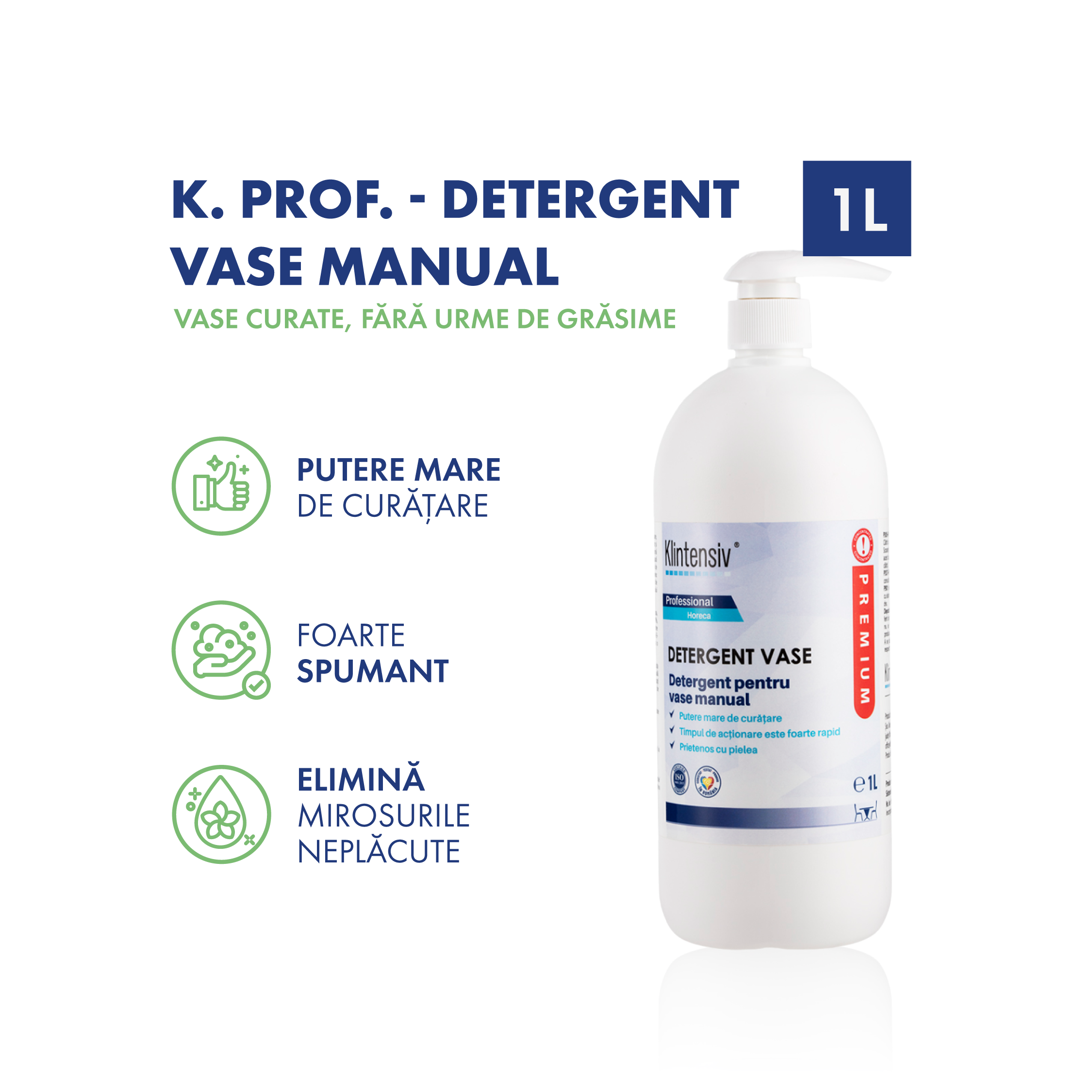 Klintensiv PRO DISH Detergent Profesional de Vase – Manual