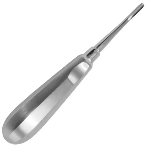 Elevator dentar drept rotunjit PRIMA, din otel inoxidabil, L, pentru faciliatrea extractiilor dentare