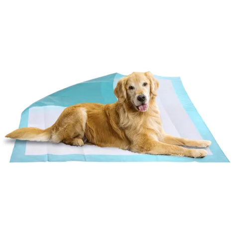 Covorase absorbante caini PRIMA 40x60cm, 30 buc - aleze igienice, protectie podea